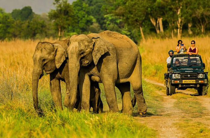 Jim Corbett - Jeep Safari